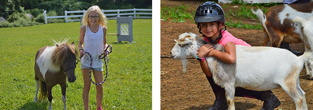 Summer Camp Willow Brook Holliston