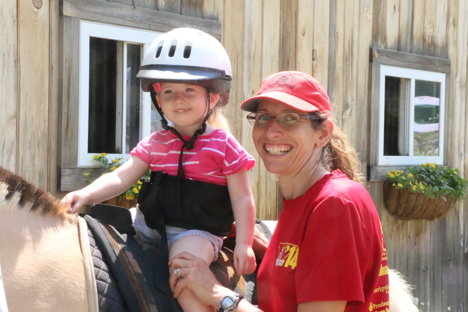 OLDHIPPOTHERAPHY Willow Brook Holliston